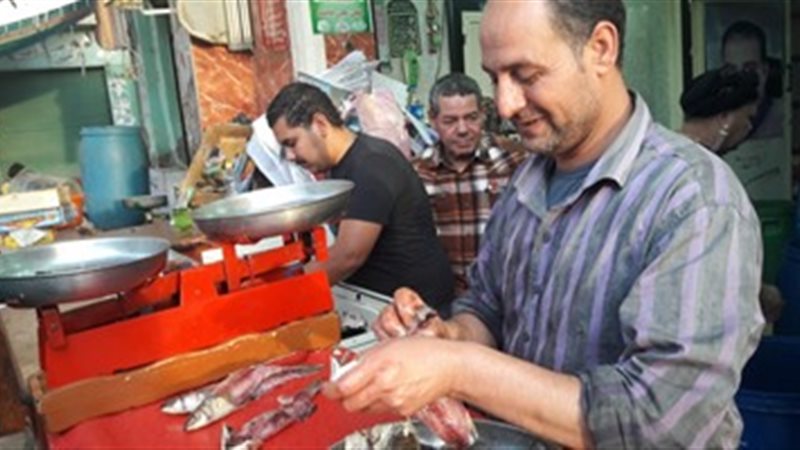 محلات الأسماك المملحة