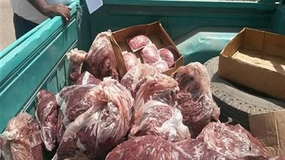 صور| ضبط 11 طن دواجن وأسماك غير صالحة للاستخدام الآدمى بشبرا الخيمة