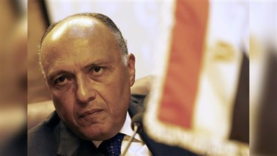 مصر تكشر عن أنيابها لأثيوبيا وتمهلها 30 يومًا لكسر جمود المفاوضات