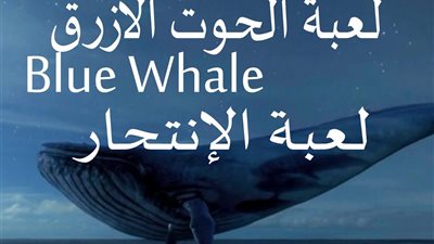 فيديو| خبير أمن المعلومات: من الصعب التحكم في لعبة الحوت الأزرق لأنها تنقل بشكل سري بين اللاعبين