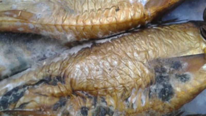 رنجة فاسدة
