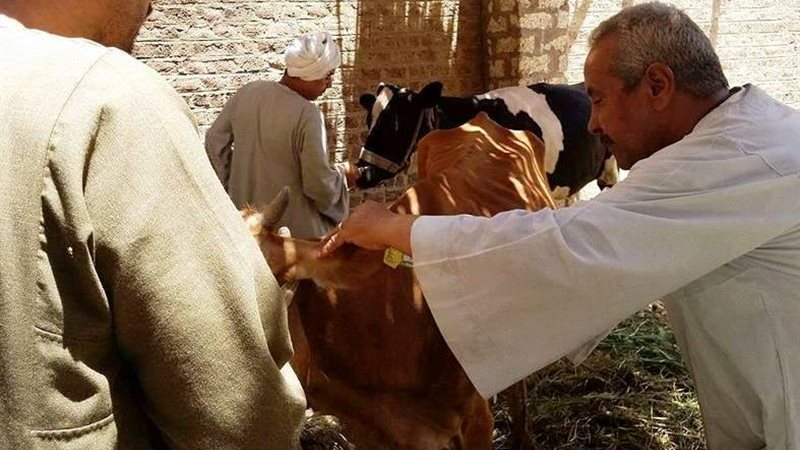 حملة بيطرية-سوهاج
