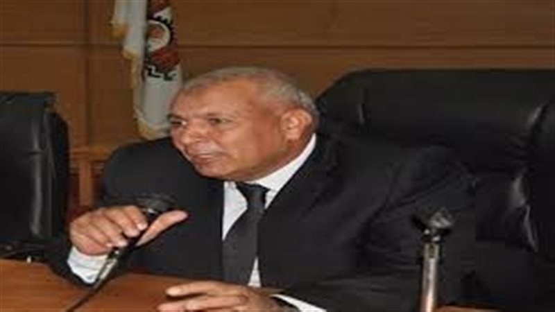 محافظ الوادي الجديد