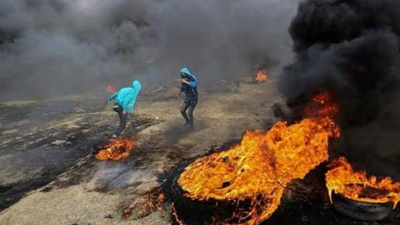 فلسطين 