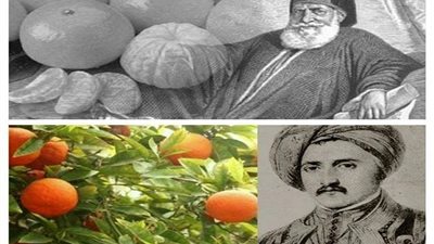 اليوسفي