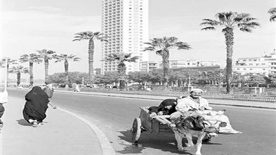 مصر زمان| عمارة 