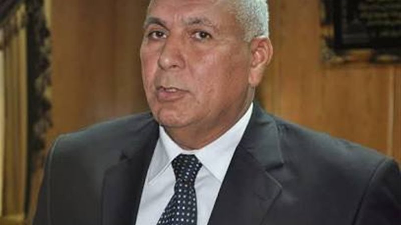 محافظ الوادي الجديد