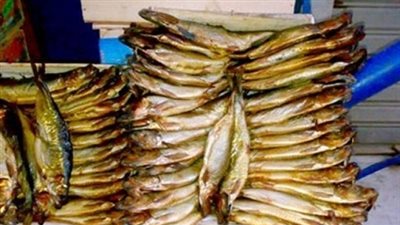 قبل شم النسيم.. أسعار الفسيخ والرنجة فى العالى 