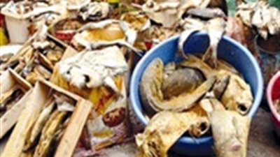 بالتزامن مع شم النسيم.. ضبط نصف طن رنجة فاسدة بالمنوفية 