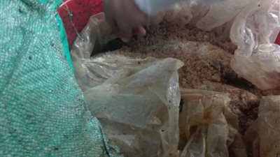 حملة تموينية مكبرة على محلات الأسماك والفسيخ بمنوف 