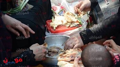 صور| الفسيخ والرنجة والبصل الأخضر يسيطرون على المشهد في حديقة الحيوان