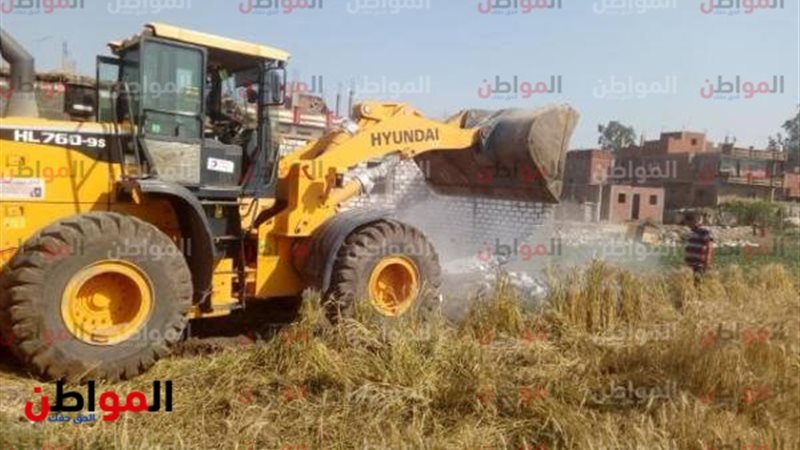 تعديات أراضي الزراعية-محافظة