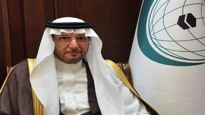 منظمة التعاون الإسلامى تدين الهجوم على بعثة الأمم المتحدة بمالى 