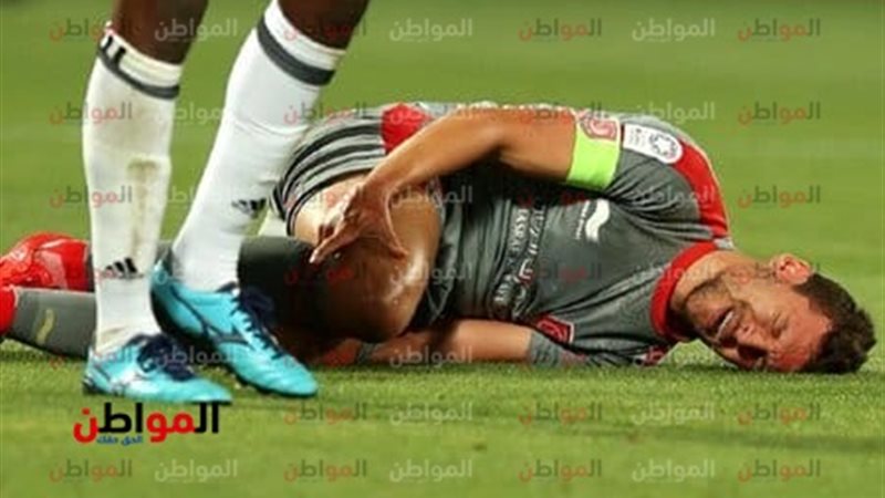 المواطن