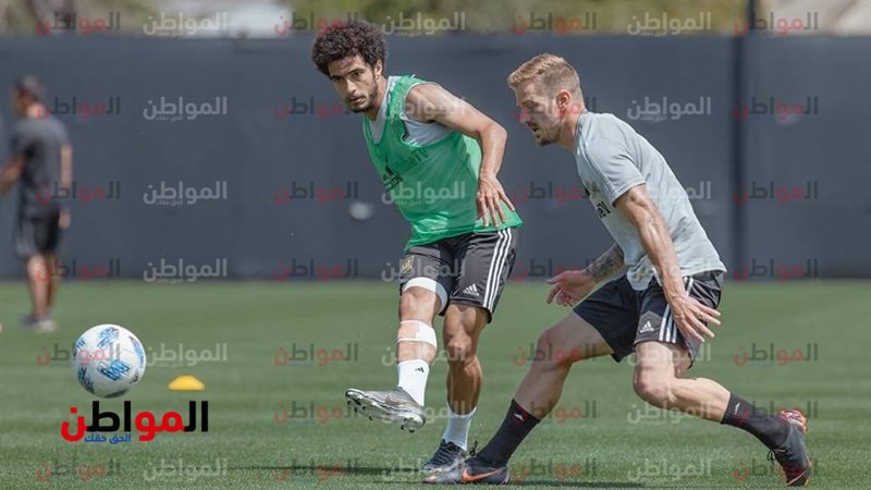 المواطن