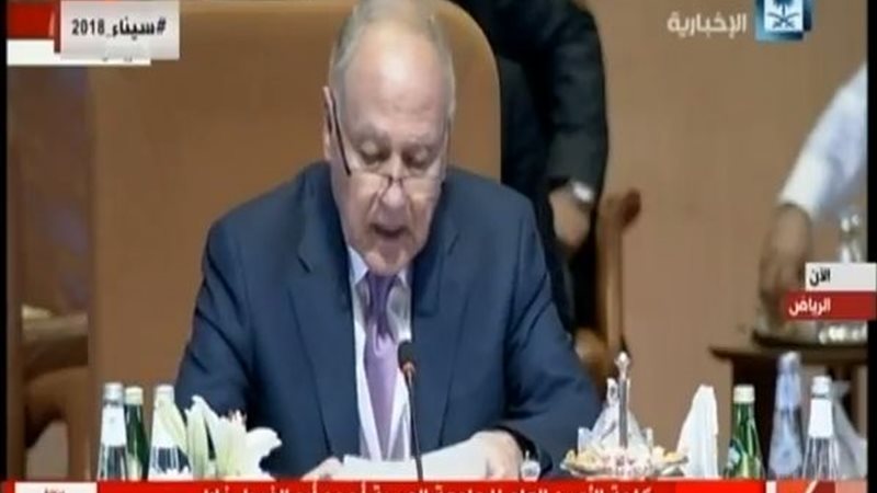 أحمد أبو الغيط