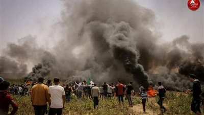 الاحتلال يحرق المحاصيل الزراعية بخان يونس 