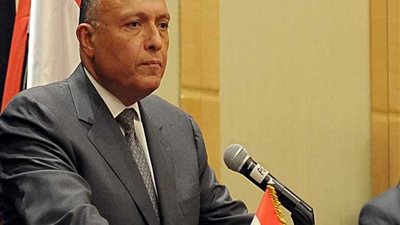 وزارة الخارجية: مصر تعلن تضامننا الكامل مع الشعب السوري الشقيق