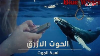 فيديو جراف| 