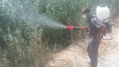 خبير بصحة الغربية: انتشار الناموس هو تقاعس واهمال شديد من قسم ناقلات الأمراض بالادارات