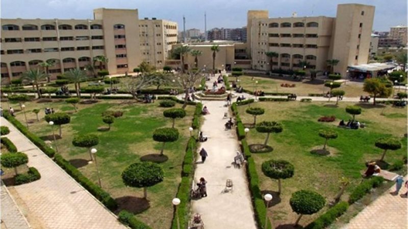 جامعة دمياط