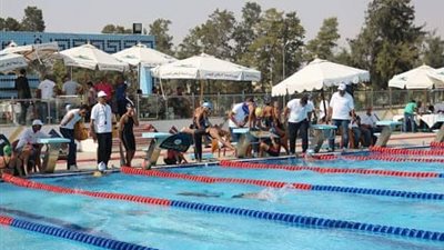 نتائج مميزة لأبطال الإسماعيلى مع المنتخب ببطولة العرب