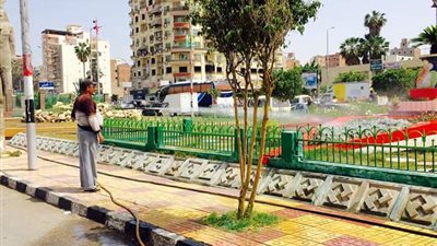 صور| حملة لتهذيب الأشجار وغسل الأرصفة بحي غرب المنصورة
