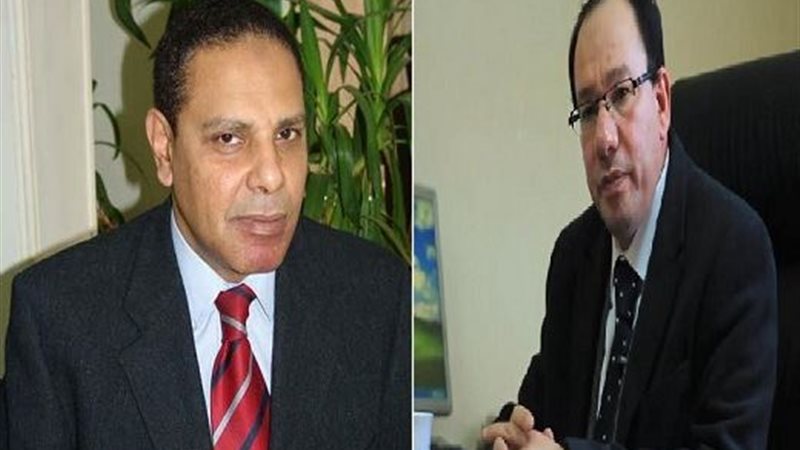 علاء الأسواني ووائل