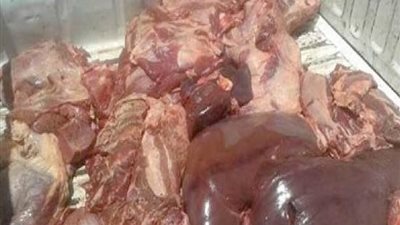 أحمد يوسف: مرضى مستشفى بني سويف 