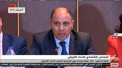 فيديو| مساعد وزير  الخارجية: مصر في صدارة العمل الأفريقي المشترك وتعود له بقوة