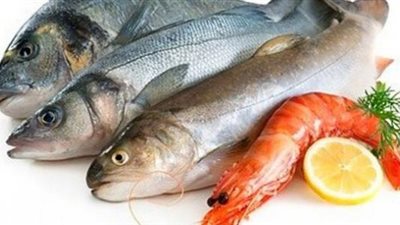 أسعار الأسماك خلال تعاملات الجمعة