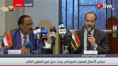فيديو| نتائج مجلس الأعمال المصري السوداني