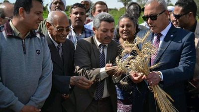 صور| محافظ السويس يتابع حصاد القمح بقرى شباب الخريجين بحي الجناين
