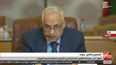 السفير فاضل جواد: الشعوب العربية دفعت ثمنًا مروعًا للإرهاب 