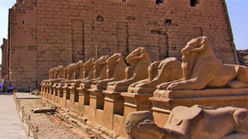 طريق الكباش