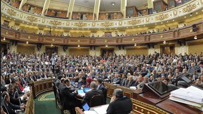 برلماني يثير غصب المجلس: ثورة يناير 