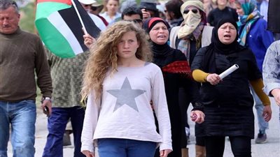 عضو متطرف بالكنيست: عهد التميمي كان لابد أن تتلقى رصاصة بدلا من سجنها