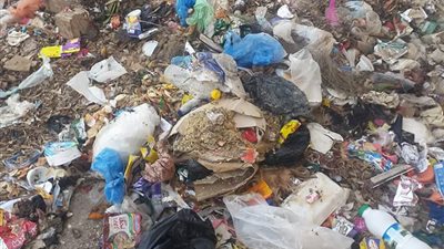 سكان العامرية لـ