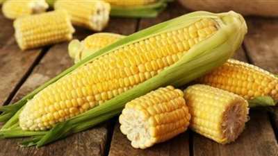 أسعار الذرة الأمريكية الثلاثاء 24 أبريل 2018