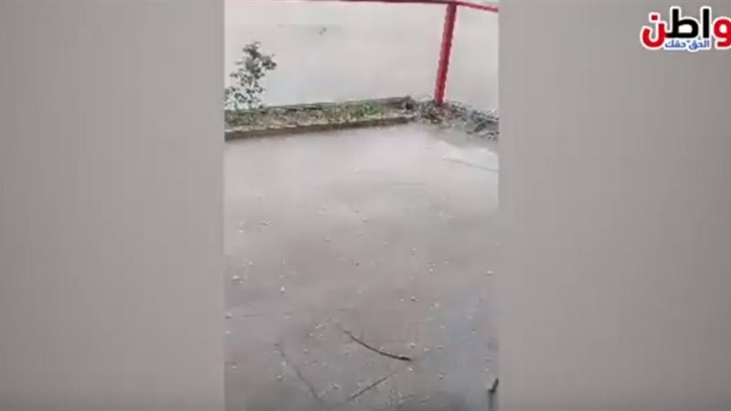 صورة من الفيديو