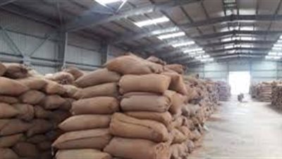 توريد 74 ألفا و713 طن قمح بالشون والصوامع بالغربية