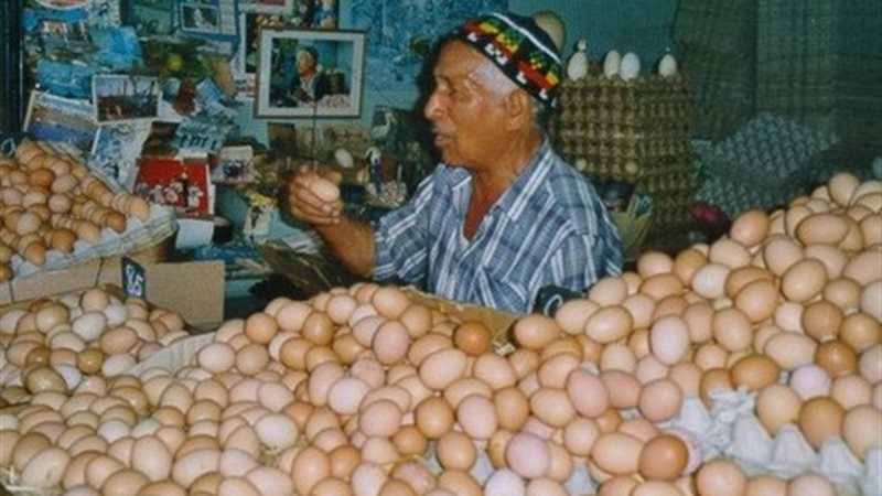 اسعار البيض 