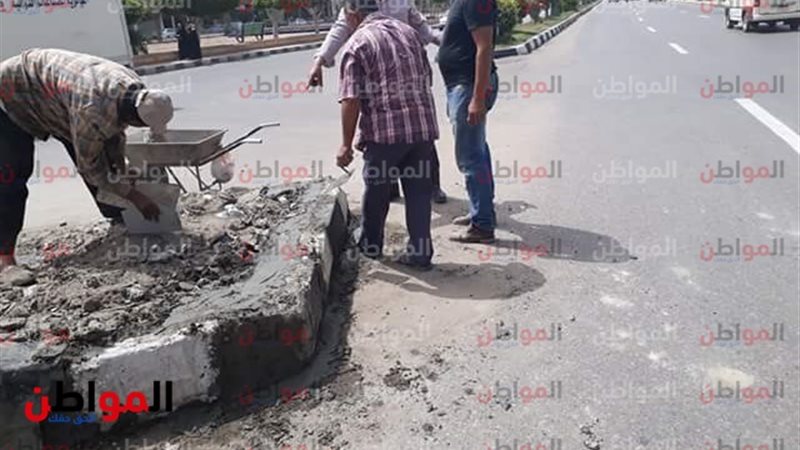 تطوير الحديقة