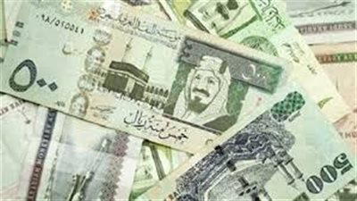المواطن ترصد أسعار صرف العملات العربية اليوم 