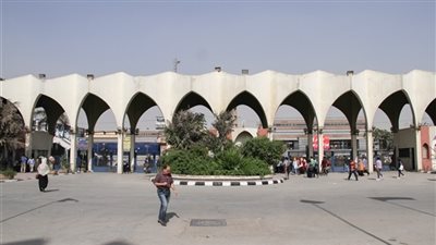 التأديبية العليا تقضي ببراءة مدير عام الشئون القانونية في جامعة حلوان