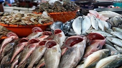 تباين أسعار الأسماك اليوم.. و البياض بـ35 جنيهًا 