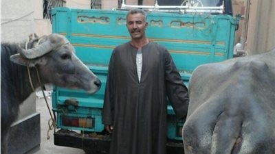 ضبط لص أثناء سرقته ماشية بالسنطة