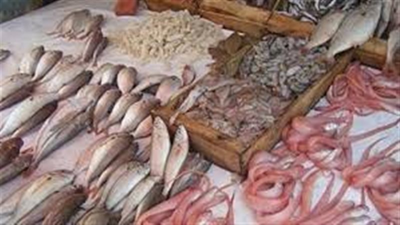 أسعار الأسماك 