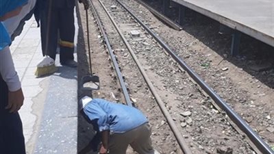 تعرف على قصة البطة الصغيرة التي أنقذها عامل النظافة بمترو المرج