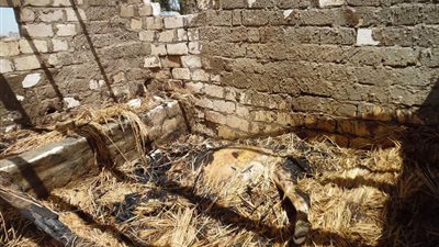 السيطرة علي حريق منزل وشونة مواشي بالشرقية